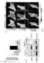 Fig. 06 - Therapeutic Agents