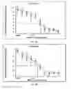 Fig. 04 - Notch 1 specific siRNA molecule
