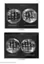 Fig. 06 - Expression of thermostable starch synthase genes improves the yield in heat stress