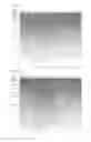 Fig. 03 - METHOD OF SCREENING GENE FOR 1,4-BDO PRODUCTION
