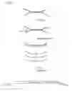 Fig. 06 - Preparation of templates for methylation analysis
