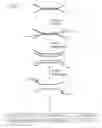 Fig. 07 - Preparation of templates for methylation analysis
