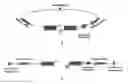 Fig. 01 - Methods, Compositions and Kits for Detection of Mutant Variants of Target Genes
