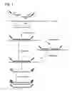 Fig. 02 - Focal gene expression profiling of stained FFPE tissues with spatial correlation to morphology