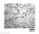 Fig. 01 - VIBRATION-DAMPING FERRITIC STAINLESS STEEL MATERIAL, AND PRODUCTION METHOD