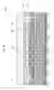 Fig. 08 - Printed wiring board, semiconductor package and method for manufacturing printed wiring board