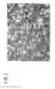 Fig. 04 - SPHERICAL DIAMOND AND MANUFACTURING METHOD FOR SAME
