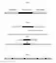 Fig. 02 - Methods and compositions for sequencing