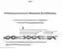 Fig. 06 - Methods and compositions for sequencing