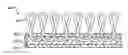 Fig. 01 - Lightweight Carpet Tile and Method