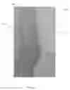 Fig. 12 - Simulated rock panels