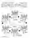 Fig. 02 - Nearly full adiabatic engine