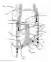 Fig. 03 - Valved connector