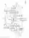 Fig. 06 - BURNERS HAVING FUEL PLENUMS