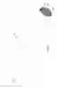 Fig. 06 - Suppressor assembly