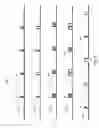 Fig. 09 - Distributed acoustic sensing systems and methods employing multiple pulse widths