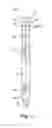 Fig. 02 - AIR AND GAS FLOW VELOCITY AND TEMPERATURE SENSOR PROBE