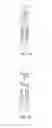 Fig. 09 - Assay analysis