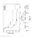 Fig. 08 - METHODS FOR TREATING HEMATOLOGICAL CANCER AND THE USE OF BIOMARKERS AS A PREDICTOR FOR RESPONSIVENESS TO TREATMENT COMPOUNDS