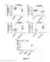 Fig. 09 - THE SCANO-miR PLATFORM IDENTIFIES A DISTINCT CIRCULATING MICRORNA SIGNATURE FOR THE DIAGNOSIS OF DISEASE