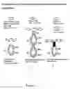 Fig. 02 - METHODS FOR USING ANTIBODIES AND ANALOGS THEREOF