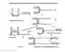 Fig. 08 - METHODS FOR USING ANTIBODIES AND ANALOGS THEREOF