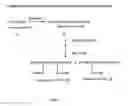 Fig. 11 - METHODS FOR USING ANTIBODIES AND ANALOGS THEREOF