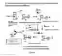 Fig. 13 - METHODS FOR USING ANTIBODIES AND ANALOGS THEREOF