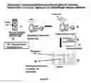 Fig. 18 - METHODS FOR USING ANTIBODIES AND ANALOGS THEREOF