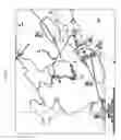 Fig. 09 - Method for providing aviation/marine weather forecast chart, and electronic device for performing same