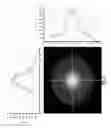 Fig. 03 - Light diffusing devices for use in photoimmunotherapy