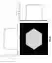 Fig. 15 - Light diffusing devices for use in photoimmunotherapy