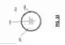 Fig. 19 - Light diffusing devices for use in photoimmunotherapy