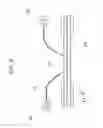 Fig. 06 - BI-DIRECTIONAL PUMP LIGHT FIBER FOR ENERGY TRANSFER TO A CLADDING PUMPED FIBER