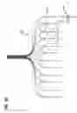 Fig. 44 - Flexible optical circuit, cassettes, and methods