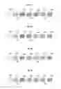 Fig. 13 - Window substrate integrated with polarizing plate and method of preparing the same