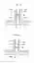 Fig. 09 - EXPOSURE APPARATUS AND DEVICE MANUFACTURING METHOD