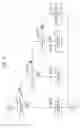 Fig. 05 - IMAGE FORMING APPARATUS AND CONTROLLING METHOD THEREOF