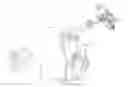 Fig. 01 - System and method for object distance detection and positioning
