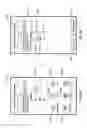 Fig. 83 - Compact presentation of automatically summarized information according to rule-based graphically represented information