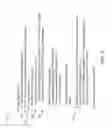 Fig. 04 - Accelerating reference count processing in object deletion
