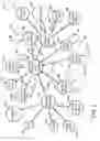 Fig. 03 - Optimized graph traversal