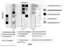 Fig. 07 - Large data set negative information storage model