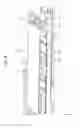 Fig. 09 - Recording apparatus with a rear feeding unit and a medium reversing unit