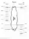 Fig. 03 - Mobile interstitial ads