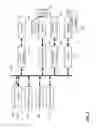 Fig. 04 - Digital watermarking applications