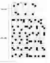 Fig. 20 - Digital watermarking applications