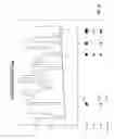 Fig. 26 - Digital watermarking applications