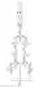 Fig. 04 - Decoding a Bayer-mask or like coded image