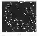 Fig. 06 - Performing segmentation of cells and nuclei in multi-channel images